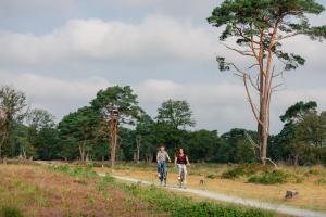 Hotel De Oringer Marke & Stee by Flow