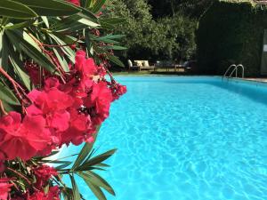 B&B / Chambres d'hotes Villa Fontane Provence : Chambre Triple Confort