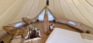 Tentes de luxe TENTES TIPI DE LUXE A 1H DE NICE : photos des chambres