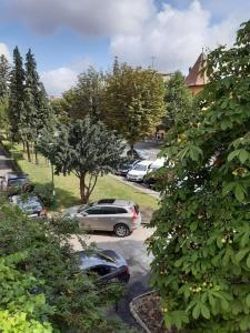 Central 2 bedrooms apartment