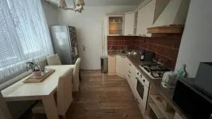 3 Rooms APARTMENT - 米哈洛夫采