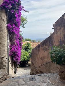 Maisons de vacances La Recampado : photos des chambres
