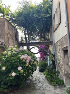 Maisons de vacances La Recampado : photos des chambres