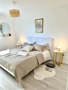 Perle rare « Le Cosy de CDG »