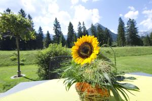 Appartment Kinigadner