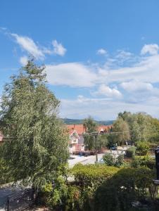 Apartman Sokobanja BoriÄi