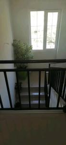 Apartman Sokobanja Borići