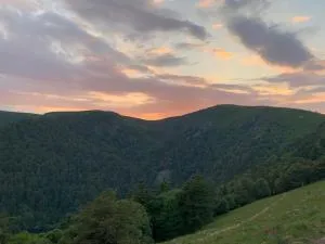 Refuge Mil100 - Munster