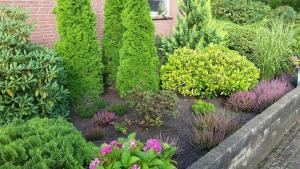 Hortensie, Ferienwohnung