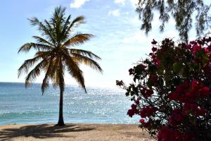 Coastal View7 Apt #3