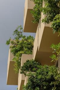 Cát Vàng Hotel & Apartment