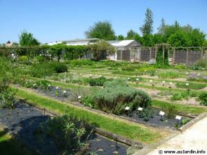 Maisons de vacances Gite Le Carpe diem Milly-la-Foret : photos des chambres