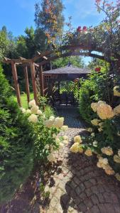 Apartamenty Kora Cieplice