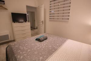 Appartements la BD : joli T2 renove /Wi-fi/centre-ville : Appartement 1 Chambre