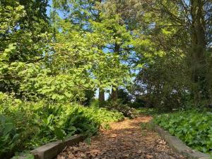 Village House in Leende near Star Restaurant