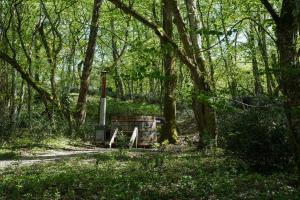 Maisons de vacances Tiny house lumen : photos des chambres