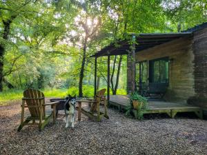 Maisons de vacances Tiny house lumen : photos des chambres