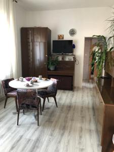 Apartament przy krzywym drzewie - Old Town