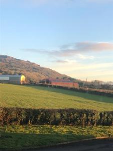 Mill Park Stay Room ONLY with use of kitchen & bathroom