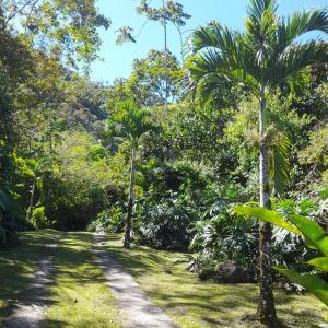 Corredores del Pacuare