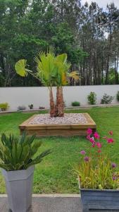 Sejours chez l'habitant Chambre au calme ocean lac foret avec piscine au sel et spa : photos des chambres