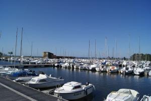 Sejours chez l'habitant Chambre au calme ocean lac foret avec piscine au sel et spa : photos des chambres
