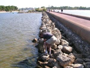 Sejours chez l'habitant Chambre au calme ocean lac foret avec piscine au sel et spa : photos des chambres