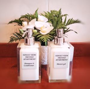 Sunset View Treviso Apartment