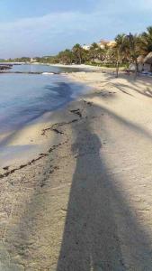 Villa Talia, Relax, beach & Nature