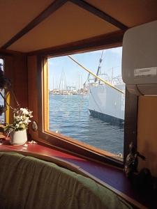 Bateaux-hotels Bateau de pirates : photos des chambres