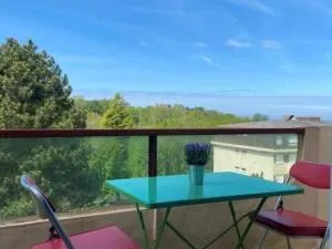 Charmant appartement avec balcon, WIFI, parking privatif, à proximité de la plage et du centre-ville. - FR-1-712-20 - 布朗维尔