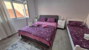 Apartman Jelena