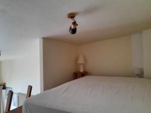 LES DRYADES Vue montagne