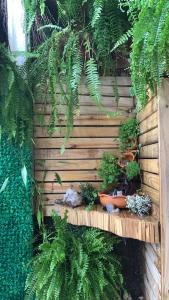 Suíte master grupos