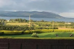 An Sconna. - Jenkinstown Cross