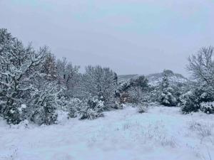 Chalets Tiny LiLouMaCa Coeur Ste Baume : photos des chambres