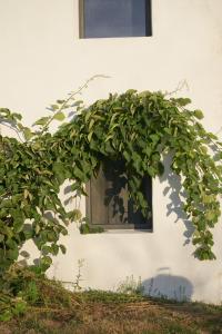 Maisons de vacances La Ferme de Brouage - GIte #3 : photos des chambres