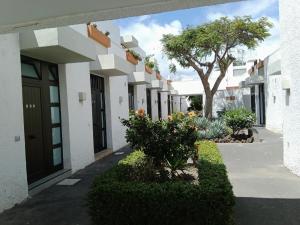 Bonito apartamento de 1 habitacion