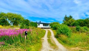 Silent Paradise Lofoten