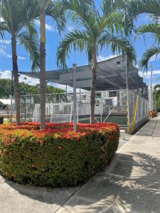 Apartasol Santafe de Antioquia 15
