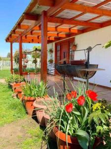 Linda y cómoda cabaña en un entorno natural