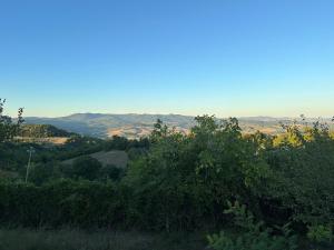 Relax vista mare con giardino