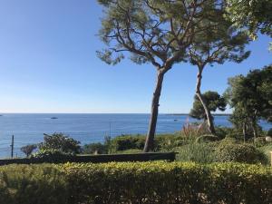 Villas Villa Cannes directly on the sea : photos des chambres