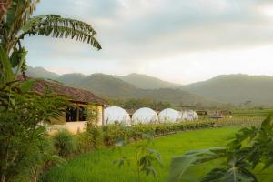 Borobudur Luxury Glamping