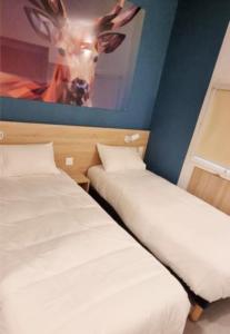 Hotels Kyriad Direct Narbonne Sud : photos des chambres