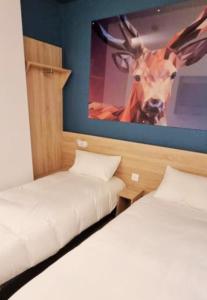 Hotels Kyriad Direct Narbonne Sud : photos des chambres