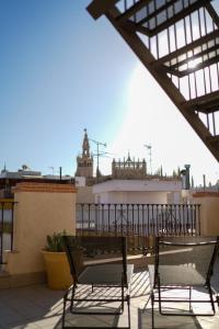 Cathedral Sevilla Views