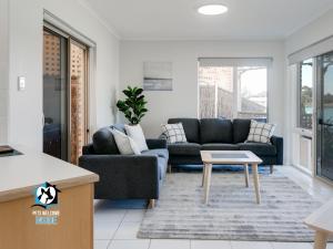 Beautiful Lake Views with Pontoon