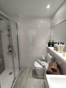 Ocean Sunset Bristol