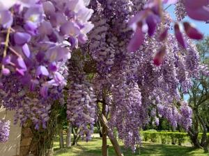 Villa provençale familiale avec piscine